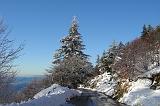 Tra neve e mare Gennaio 2008 - 19